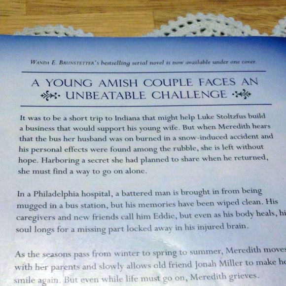 3 for $10 book sale! Amish - Discovery Saga Collection, Brunstetter - Picture 3 of 7